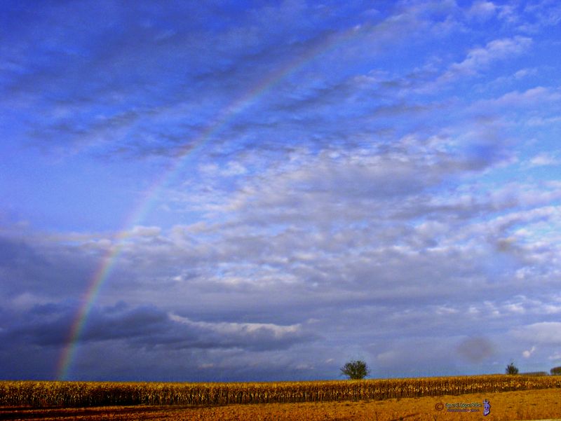 Arco Iris. 8 de Noviembre del 2010-2.jpg